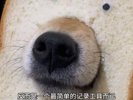 评论区摄影作品毒辣点评,最温柔的一期! 请在评论区留下你的大作,玻璃心谨慎投稿!#摄影 #抖音评论区治愈系摄影展 #照片点评 #评论区摄影大赛 #摄影恩哥