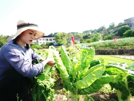#农村生活 26号下午6点直播一次,和大家聊聊天!幺爸今天把电机拆了吃饭都是高兴的,笑的合不拢嘴!
