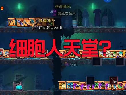 #重生细胞 mod作者:爱摸鱼的猫娘,自用mod不会公布