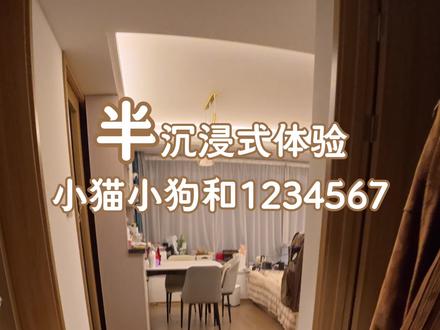小猫小狗:“1234567的意思是你俩加起来最多七岁吗..” #万物可爱计划 #养宠人的治愈谁懂啊 #萌宠 #日常vlog #给春日养宠支个招
