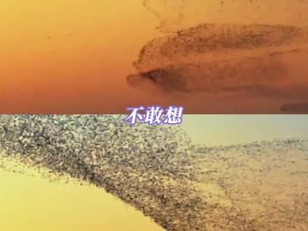 谁懂这真的不是ai,震撼之!#逍遥游 #东营 #鸟浪 #鲲鹏