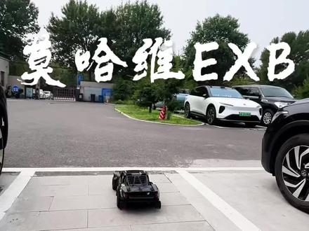 喜欢莫哈维还需要理由吗? #rc遥控车 #莫哈维exb #rc短卡 #男孩玩具 #记录真实生活