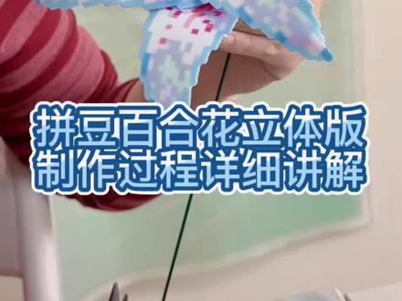 拼豆第0届拼豆大赛,立体百合花详细教程申请出战
#抖音第0届拼豆大赛 #拼豆科研 #拼豆立体 #拼豆花束 #教程分享