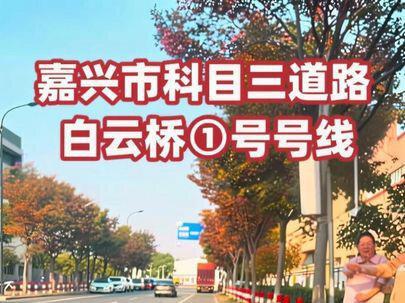 嘉兴市科目三道路模拟考试白云桥①号线#学车考驾照