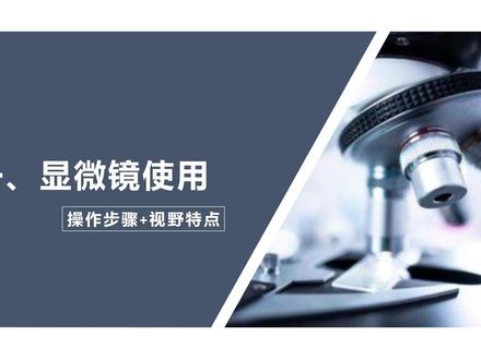 先整体,再具体,这是基本的行为模式。显微镜使用也一样。#每天跟我涨知识 #显微镜 #学习 #中学生物
