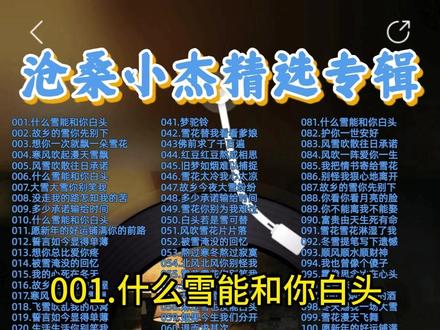 沧桑小杰精选歌曲专辑 #沧桑小杰 #翻唱完整版 #车载音乐 #U盘 #CD