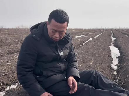 #土地全程托管刘辉 #种地不容易 听辉大爷的,要注意保墒