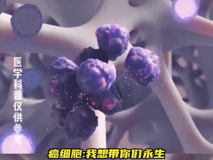 免疫系统:完了 家里进猪了 #免疫系统 #猪 #癌细胞 #科研 #医学科普仅供参考如有不适请线下就医