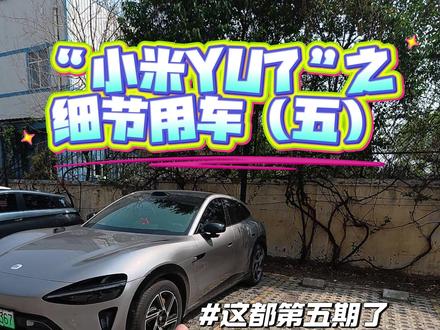 每次都能让我发现小惊喜 这样的小爱爱了爱了 #我和我的小米汽车 #小米汽车 #小米yu7 #抖音小助手dou上热门