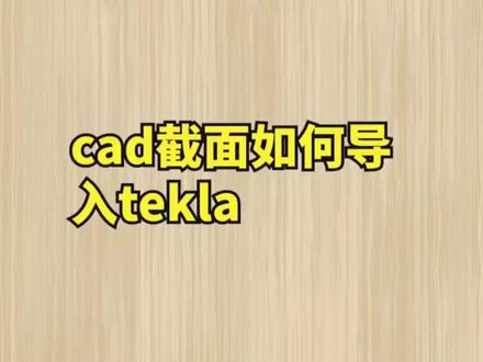 cad截面如何倒入tekla#tekla教学 #tekla培训 #钢结构设计 #犀牛建模 #pkpm