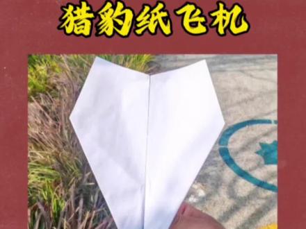 猎豹纸飞机,曾打破纸飞机飞行距离记录哦#纸飞机#简单的手工折纸 #创作者中心 #创作灵感