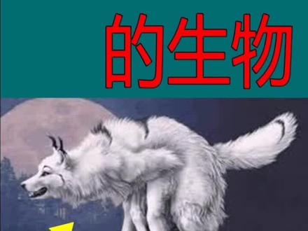 世界上最神秘的生物#我是头条小百科