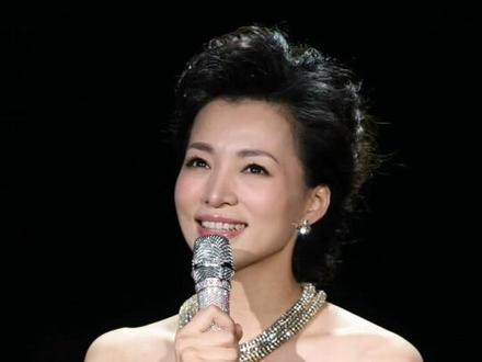 综艺主持人董卿同款发型,纯干货教程 #编发教程 #盘发教程 #盘发编发 #主持人发型教程 #董卿