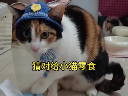 到底在真棒什么啊? #娱乐 #萌宠