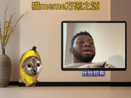 猫meme万恶之源#猫meme#比比拉布