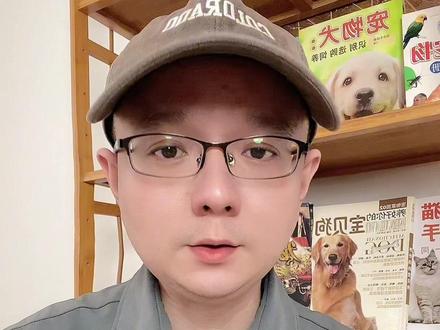 养小公狗的注意事项#新手养狗 #科学喂养