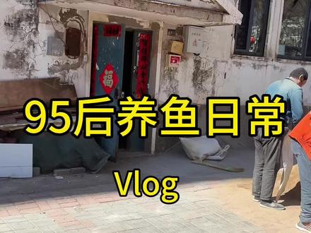 #养鱼日常 #玛丽鱼 #钻眼玛丽 “细节满满”的孵化丰年虾教程他来了! 看一遍就能实操😜