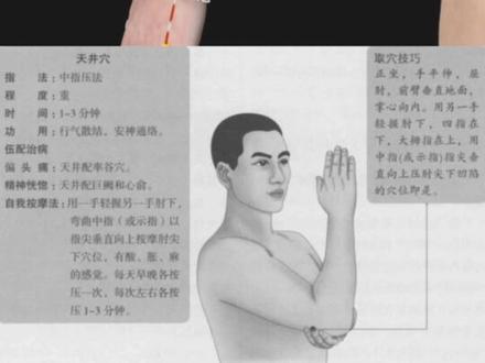 常用穴位之天井穴#穴位 #穴位养生 #穴位按摩