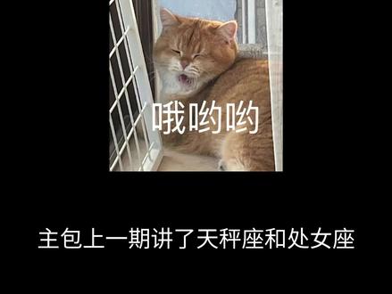 天秤和天秤在一起#天秤 #天秤座