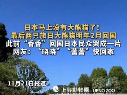 日本马上没有大熊猫了!最后两只旅日大熊猫明年2月回国,此前“香香”回国日本民众哭成一片。网友:“晓晓”“蕾蕾”快回家!
