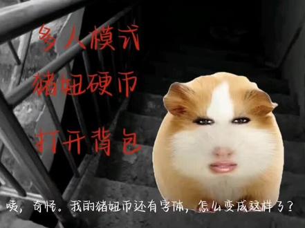 逃离的猫第三期来了过于较长