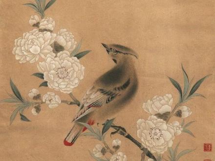 讲解《桃花山鸟图》#国画 #工笔画 #工笔花鸟 #书画艺术 #传统文化