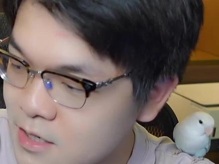震惊!柯洁直播玩鸟?还让鸟给大家打招呼#柯洁