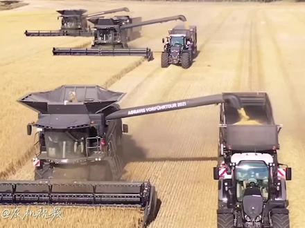 2021年首次三台芬特7T8T9T演示收割小麦