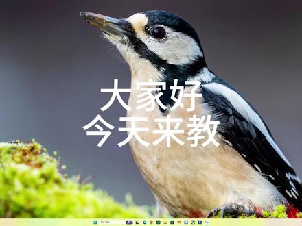 今天发一期 PCL2 我的世界。织布游戏端口的自定义皮肤教程支持新版 Forge 旧版 Forge 织布等游戏加载器。注, PCL 为游戏启动器。#我的世界物品栏 #在家办公