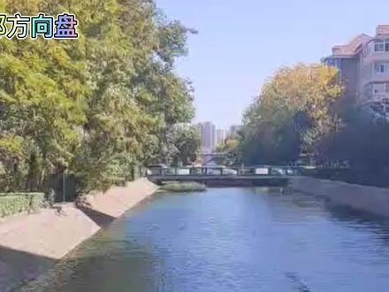 天津卫经典特色称呼;水猫与狗骑兔子