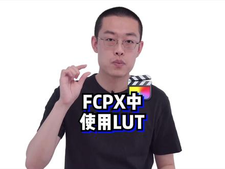 fcpx中使用lut#fcpx教程 #lut