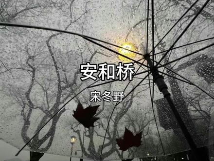 安和桥—宋冬野#民谣 #安和桥 #听歌