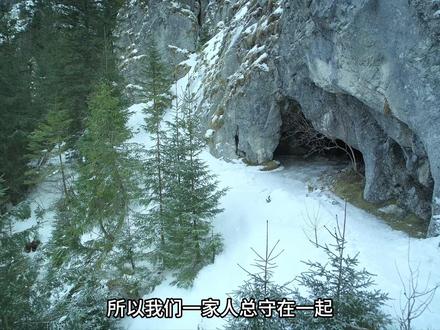 疯狂动物城闪电原型,大树懒 #树懒 #闪电 #冰川时代