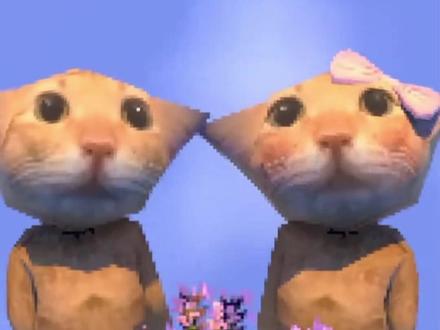 蟹鸡面方言神似哈基米,说完秒变小猫咪#哈基米 #蟹鸡面 #瑞安