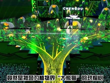 大运会出现的珙桐花的意义还有人不知道吗 希望这份美好能一直传递 #大运会闭幕式 #大运会 #珙桐 #和平 #我的大运故事