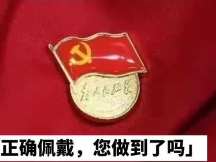 佩戴党徽的正确方式#创作灵感 #党徽是最美的胸针 #党徽闪党旗飘 #礼仪培训