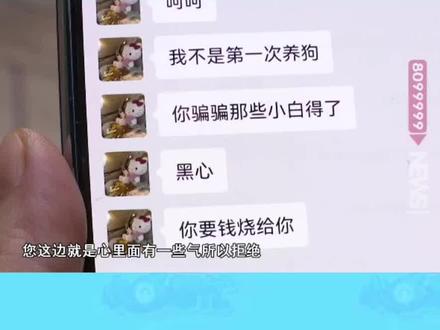 前段时间,小蒋在官渡花鸟市场里一家宠物店花2530元购买了一只黄色博美,谁知买回家第三天小狗开始又拉又吐,经诊断为“细小”病毒,并于购买回家一周内死亡,小蒋怀疑买到问题狗,要求老板退钱,双方因此产生纠纷。#宠物 #狗 #你怎么看