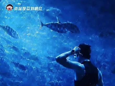水族馆的男美人鱼竟然是吴磊#吴磊 #三亚 #美人鱼