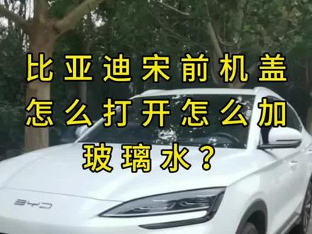 #汽车知识科普 #我的爱车 #比亚迪宋plusdmi 新手车主看过来,怎么打开前机盖和加玻璃水#汽车好物