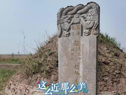 赴盐山张锡纯墓祭拜先生 #跟着中医药文化游河北 #盐山 #张锡纯墓