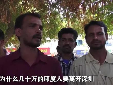 上万印度人集体离开深圳,得知原因后,国人为什么拍手叫好? #印度