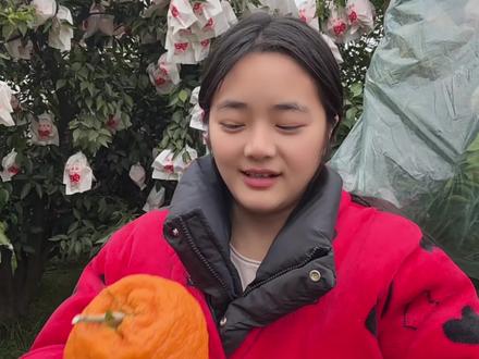 其实这个对比的这个大炮果还不是很明显,顶部没有凸出,空的地方不多,改天拿一个有高顶给大家再看看#耙耙柑 #我为家乡农产品代言