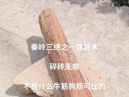 世界公认最硬木质之一铁匠木#带你玩木头 #带你玩木头 #真材实料