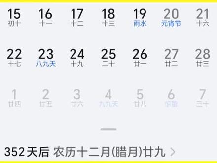 距离2027年除夕还有351天