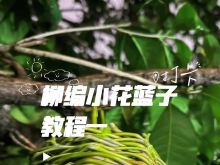 #竹编手艺 #柳条编织小篮子 #春天 #记录真实生活 #教程
赶紧学起来,给娃编一个,提着篮子去装饰它,记得交作业哦!!
别嫌弃本人声音,实在不会剪辑,硬着头皮现学点皮毛,晚上下班后偷偷在办公室拍的,大家先凑合着看,我周六还是会再拍一个详细的教程,如果这个大家看不懂的话🥳🥳,大家记得交作业🫵🫵