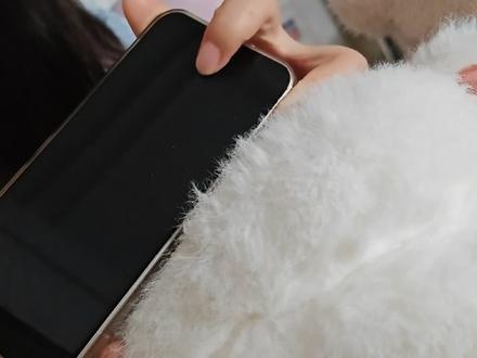 就这么权威!!#live实况 #张凌赫 #动态壁纸