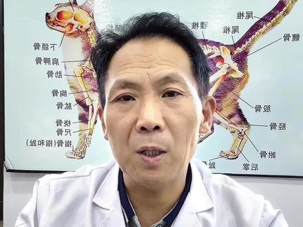 一把不起眼的萝卜籽,疏通狗狗全身肿块,成本只要几毛钱 #宠物医生#中兽医 #狗肿瘤 #狗肿瘤怎么办