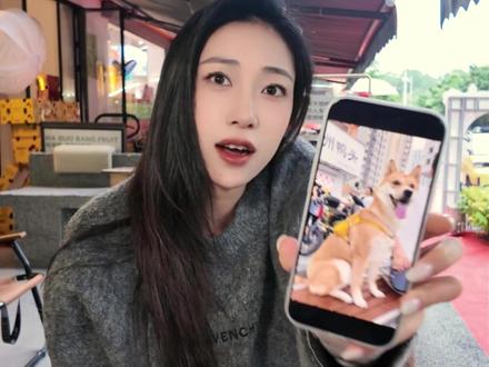 你家里有养广西小土狗吗?晒图看看 #广西 #广西田园犬 #广西土狗 #广西dou知道 #真实生活分享官