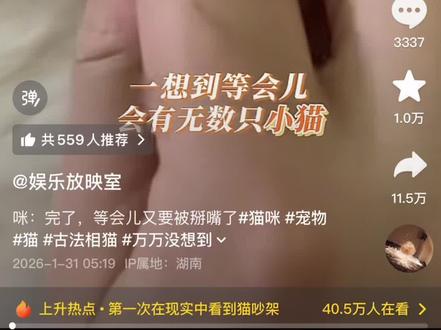 那我家猫8坎是代表什么#动物保护 #萌宠出道计划 #萌宠 #宠物 #小猫