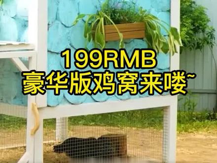 199元自己动手,造个鸡窝!#手工制作 #木工 #创意 #我的农村生活 #新农人计划2022 #改造 #向往的生活